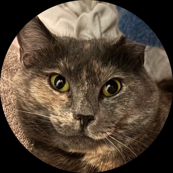 bonjourhannah